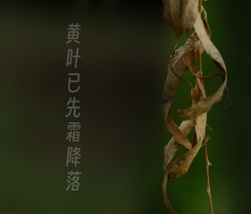 1000026770