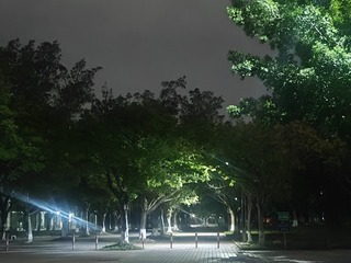 1000029961