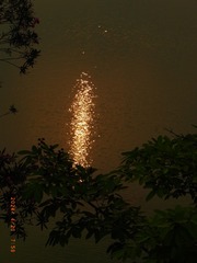 1000016102