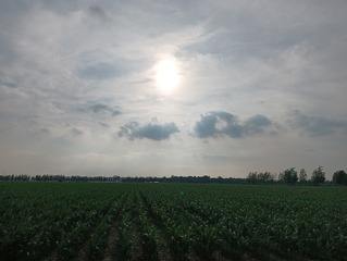 1000001112