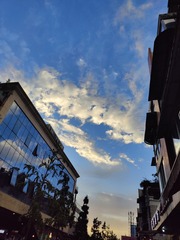 1000066239