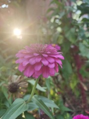 1000068072