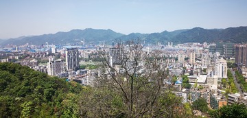 2549818