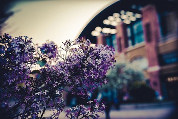 DSC_0094-1s.jpg