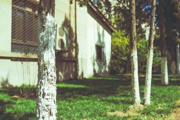 _LZY4331