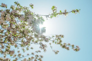 _LZY4316
