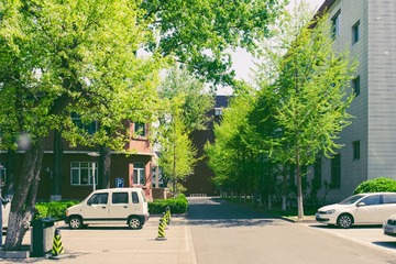 _LZY4299