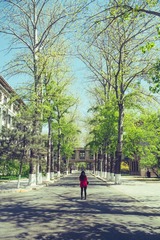 _LZY4336-1