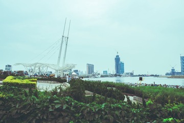 _LZY4934