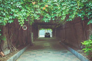 _LZY4838