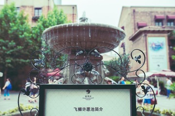 _LZY4745