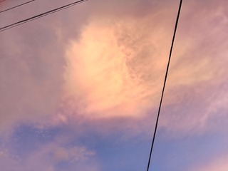 1000001876