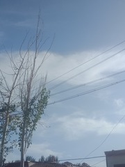 545333