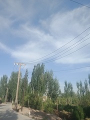 545329