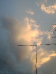 544761