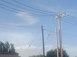 545331