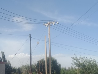 545330