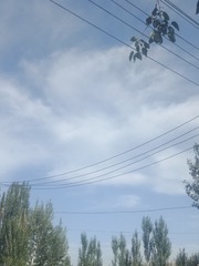545327