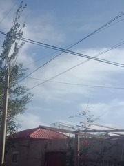 545325