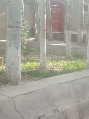 545272