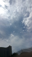 IMG_20240616_105513