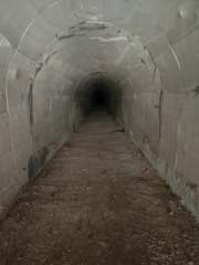 1000022541