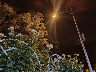 1000120973