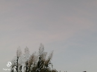 72