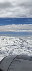 1000008365