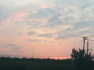 597