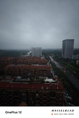 1000039274