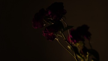 230411