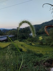 1000010530
