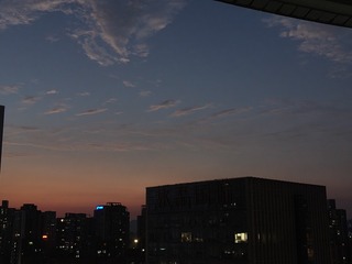 1000006381