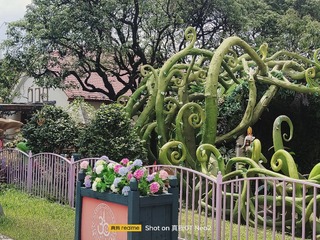 1000056065