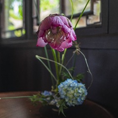 DSC03400