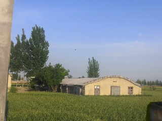 2984641