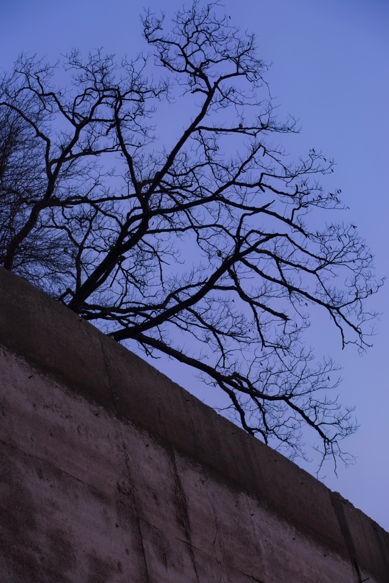 在冬季阴天的傍晚长江大桥下