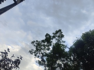 1000002525