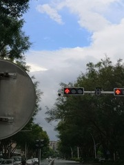 3067366