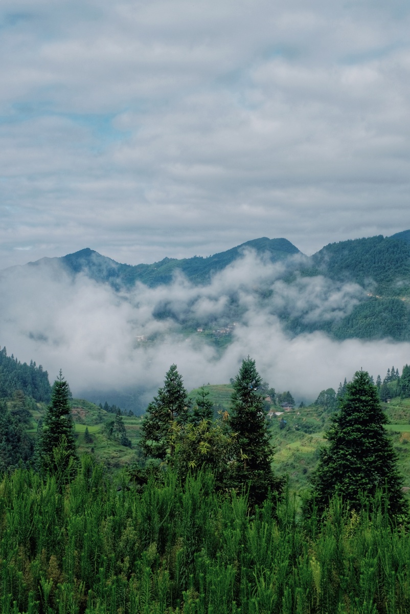 贵州山间