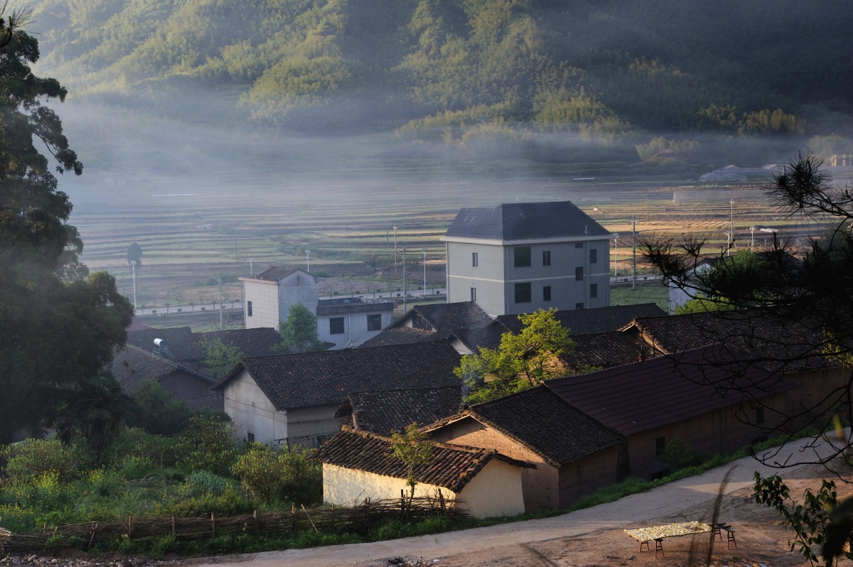半夜鸡叫高坪村