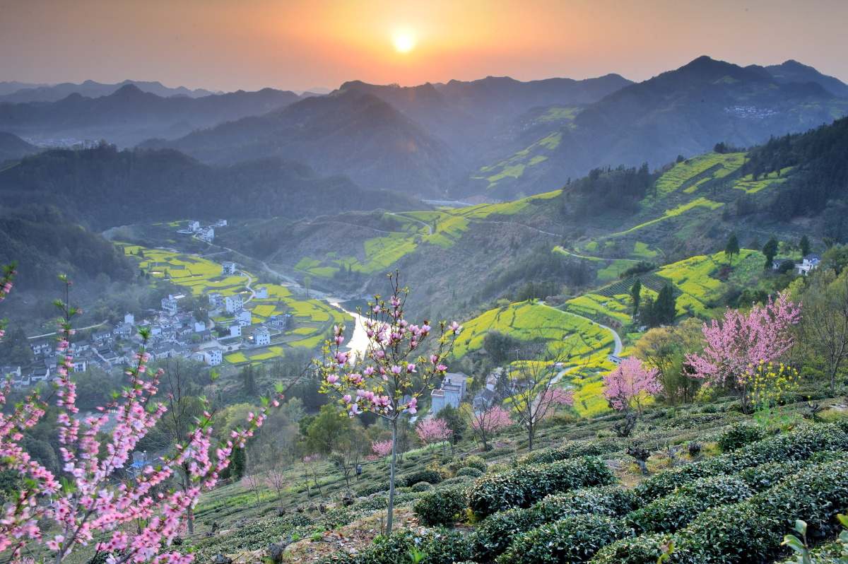歙县石潭村油菜花