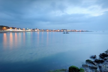 DSC_8314.jpg
