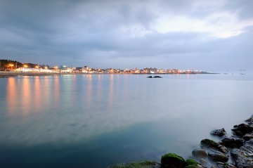 DSC_8314.jpg