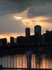 1167705
