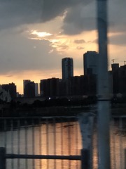 1167706
