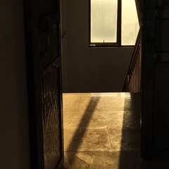 1181711