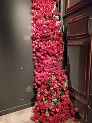 1000051036
