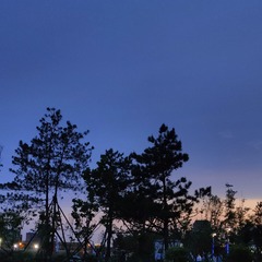 1000067981